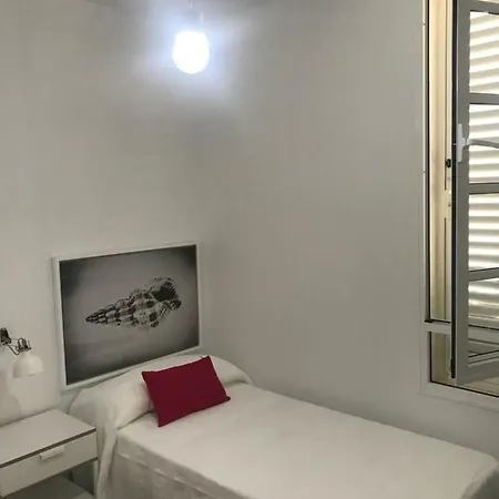El Olivo De Antigua Antigua (Fuerteventura)